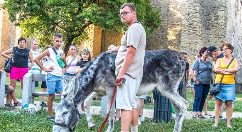 A várnál fogadták a „szamaras” srácot