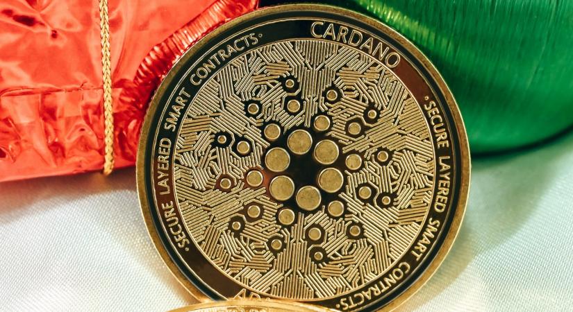 Fejlesztések szempontjából az egyik legaktívabb a Cardano hálózata