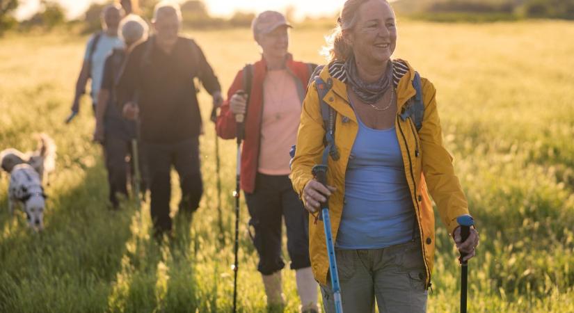 6 ok, amiért a nordic walking a legjobb sport 50 felett