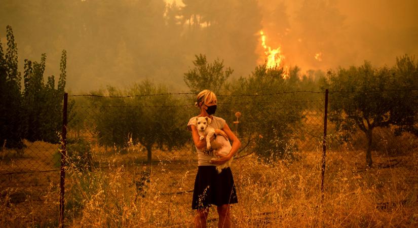 Ötvenezer európai halálát okozta a hőség tavaly egy kutatás szerint