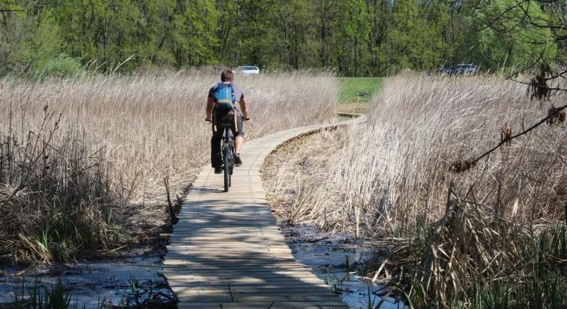 A Tisza-tó rejtett zugait is felfedezhetjük a pallóutakon