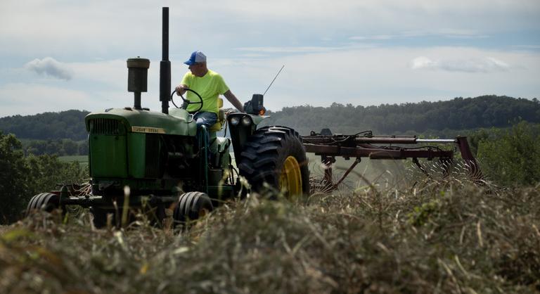 Akár 200 millió forintos támogatást is kaphatnak a mezőgazdasági termelők