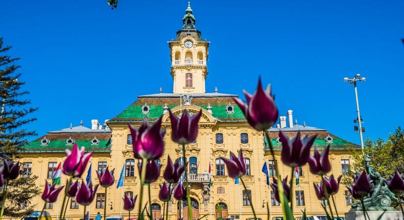 Hőségriadó: változik Szegeden az ügyfélfogadás