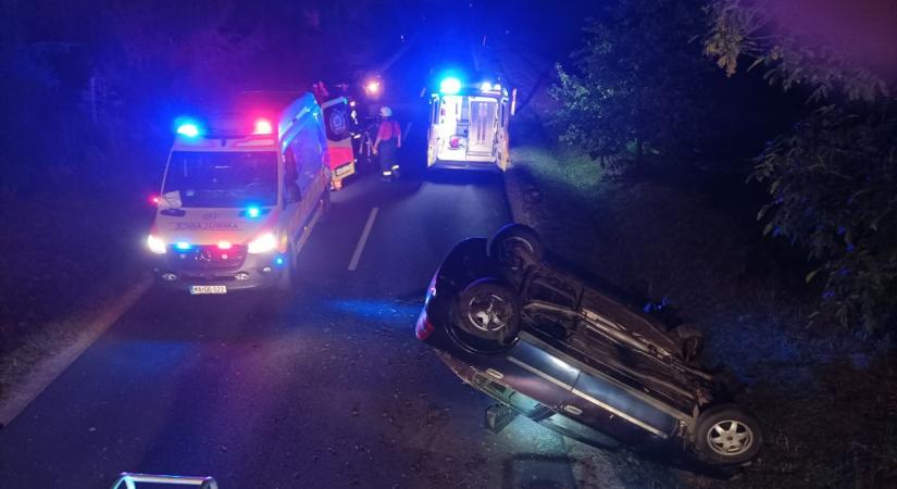 Fának csapódott az autó, a sofőrt a tűzoltók adták át a mentőknek