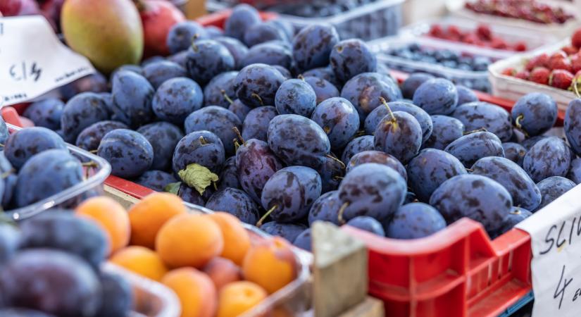 Őrület: ennyibe kerül most egy kiló szilva Lengyelországban