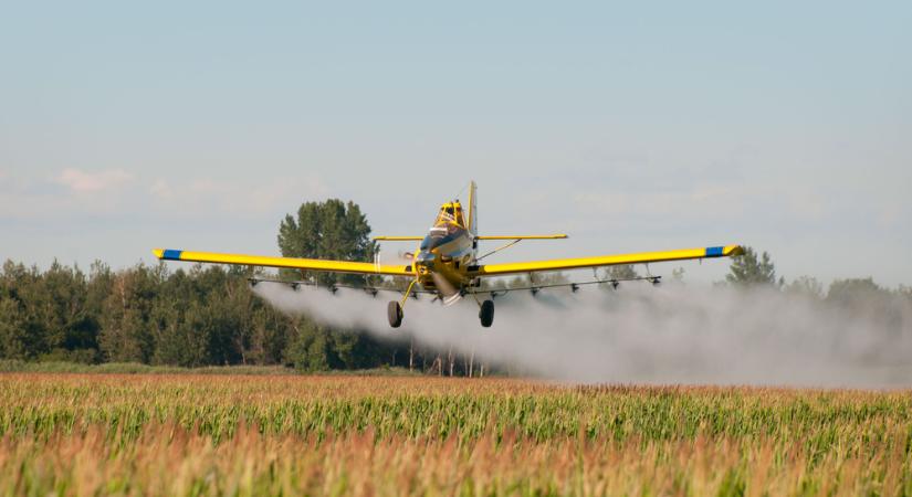 Vegyszeres szúnyogirtás kezdődik Debrecenben, az önkormány óvintézkedéseket javasol a lakosságnak