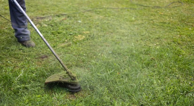 A hőség miatt a héten egy órával korábban kezdődnek a városi fűnyírási feladatok Szolnokon