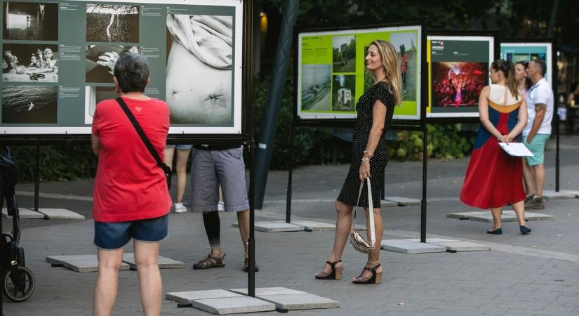 Gyönyörű képek lepték el a Csapó utcát – fotókkal