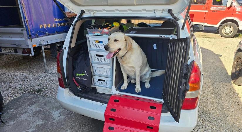 Törésbiztos boxot kaptak a 4x4-esek keresőkutyái