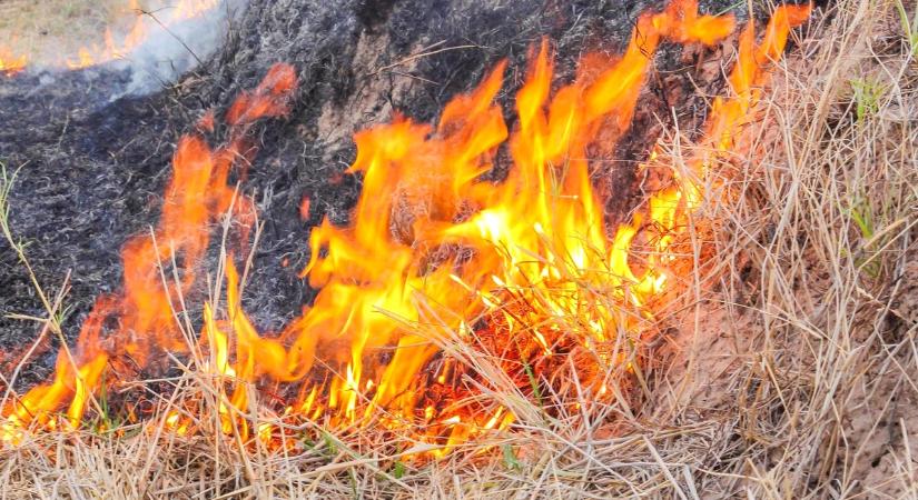 Ismét szabadtéri tűzhöz riasztották a baranyai lánglovagokat