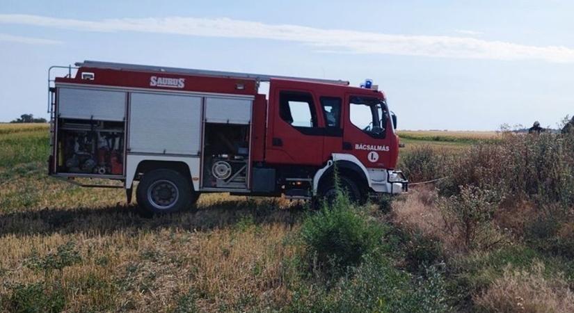 Újabb három őzet mentettek a tűzoltók a tataházi hígtrágya-tárolóból