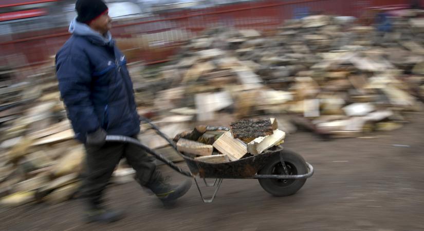 Idén is árstopot vezet be a kormány a tűzifára? Megszólalt a tervekről az Agrárminisztérium