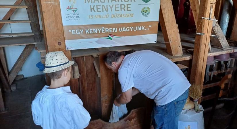 Másodszor tartottak búzaösszeöntést Arad megyében a Magyarok kenyere program keretében