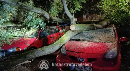 Bőven akadt dolguk szerdán a tűzoltóknak