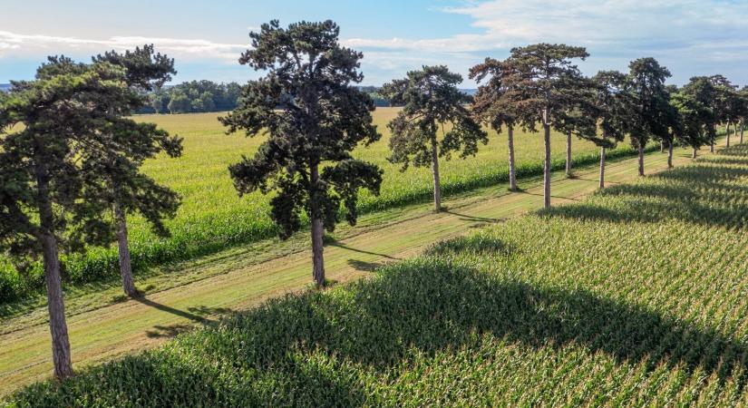 Megújul a gyakorlati képzés a Magyar Agrár- és Élettudományi Egyetemen