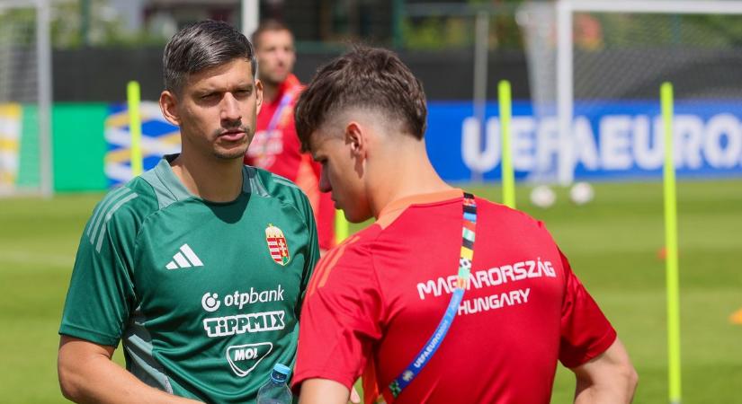 Szegedi edzője lehet a Budapest Honvédnak