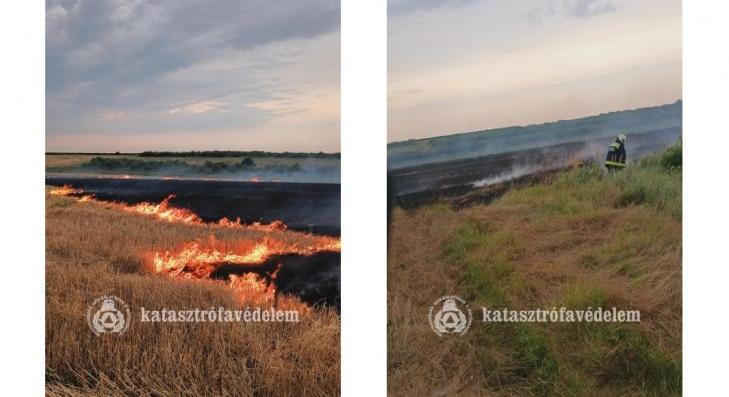 Öt szabadtéri tűzeset hétfőn 