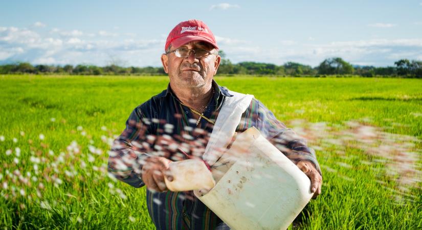 Az idén 33. alkalommal rendezik meg a Farmer Expót Debrecenben