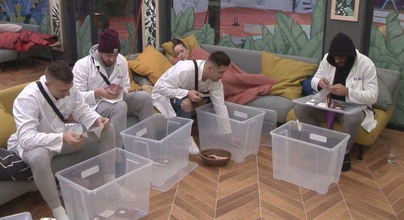 ValóVilág10 powered by Big Brother – VV Fru VV Renátónak: “Erőszakos vagy!”