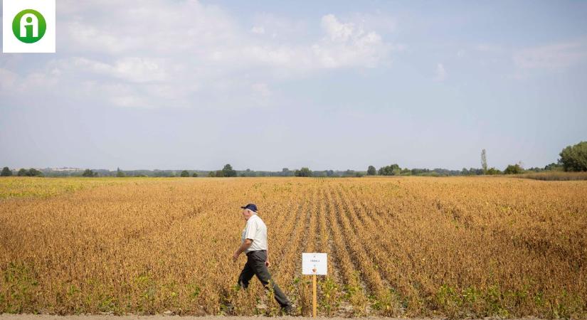 Elképesztő számokat közölt az agrárminiszter