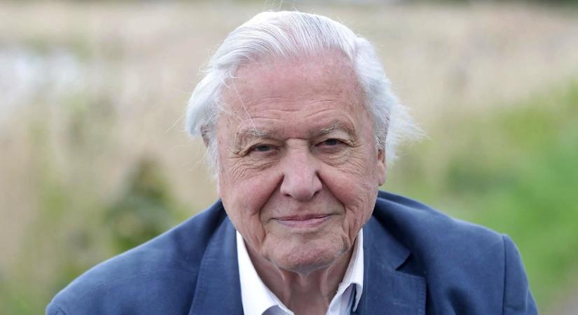 Így nézett ki fiatalon a világ leghíresebb természetfilmese, David Attenborough (Fotók!)