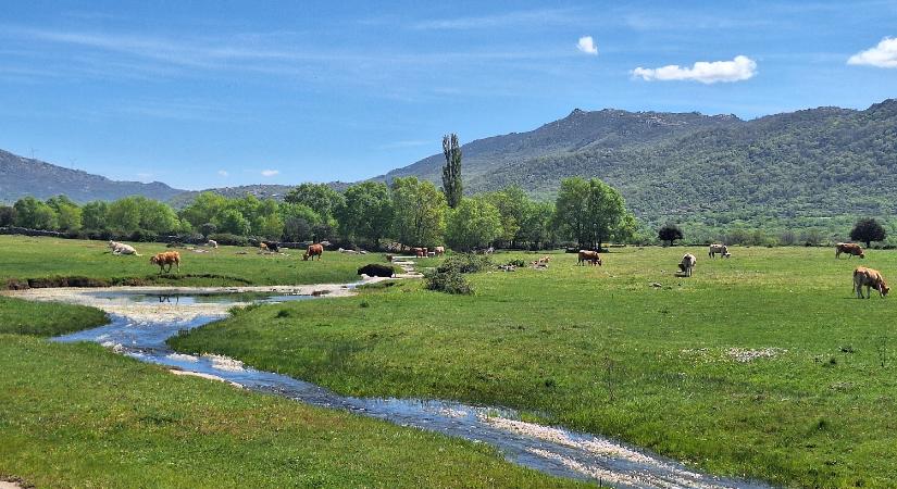 Vía de la Plata: 19. nap - Puerto de Béjar - Valverde de Valdelacasa (18,1 km)