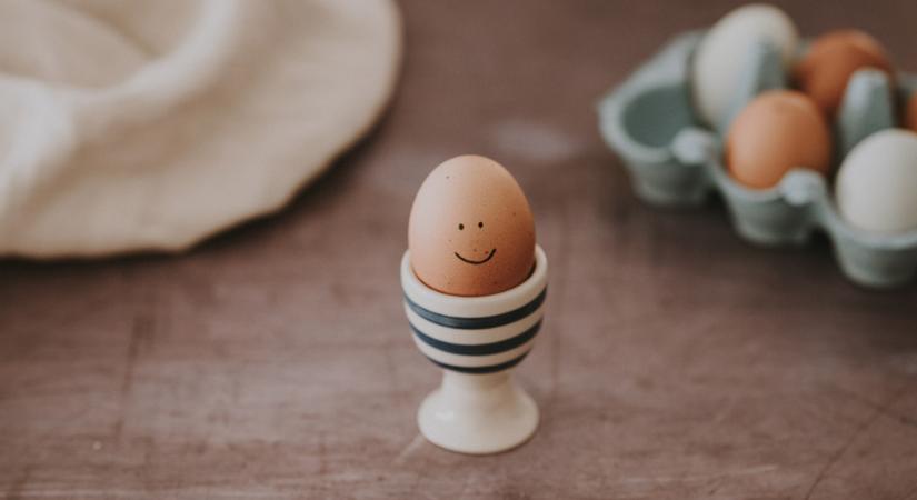 Saját nevelés: Omega-3 tojást tojnak a Szent István Egyetem tyúkjai
