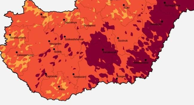 Parlagfű pollenkoncentráció - Így alakul a következő napok pollenterhelése