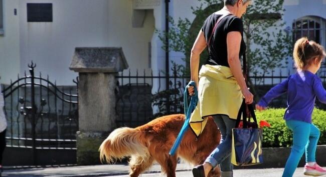 Nyugdíjfizetés - Ezen a napon utalják a szeptemberi nyugdíjakat