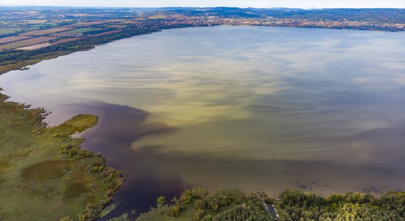 Valami nagyon megváltozott a Balaton vizében