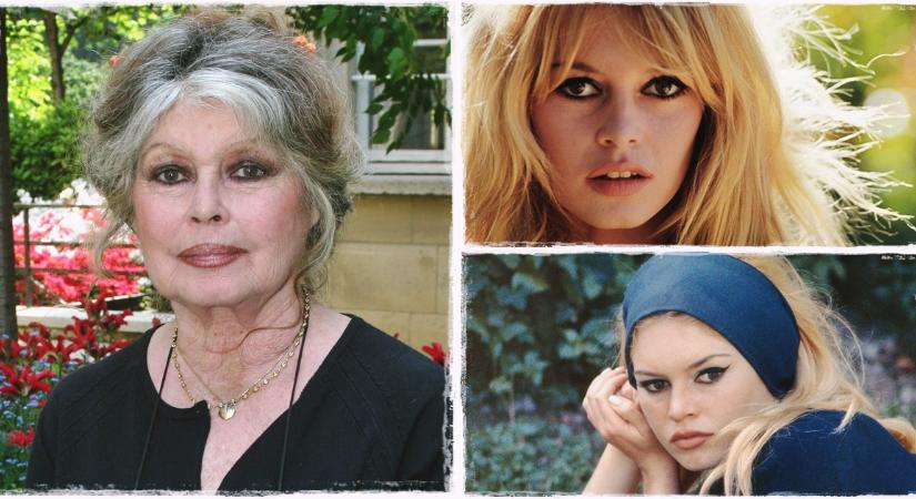 Most ünnepli 90. születésnapját Brigitte Bardot – Íme 10 meglepő érdekesség a legendás francia színésznőről