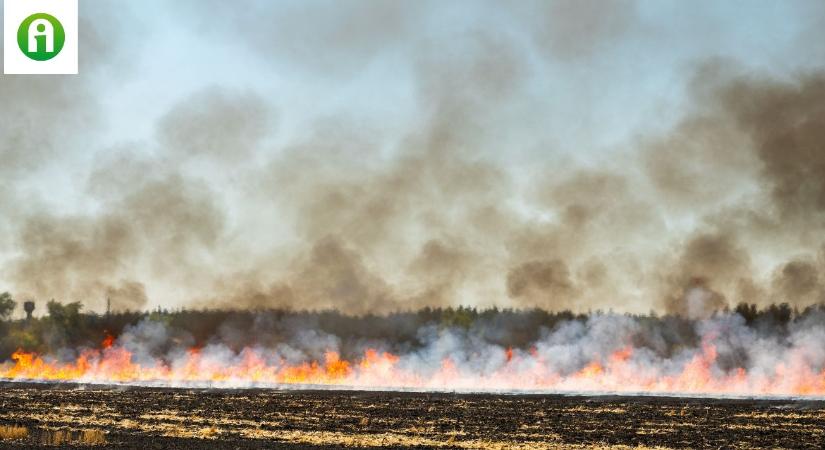 Akkora tűz keletkezett a Dunántúlon, hogy 9 város tűzoltóit riasztották