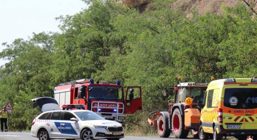 Sokkoló baleset: órákig feküdhetett a bokrokban holtan a magyar férfi - videó