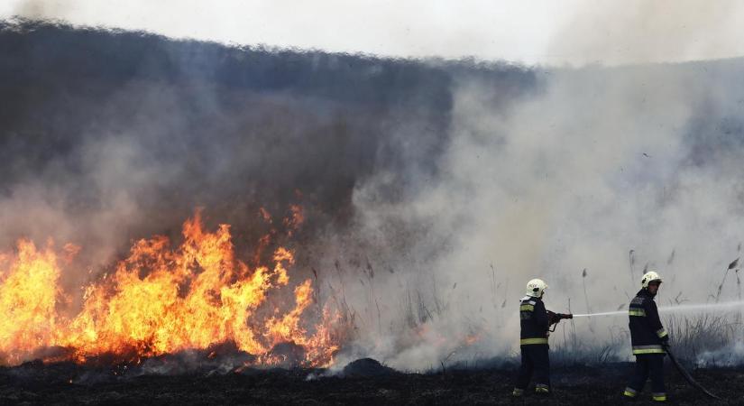 A kánikula utolsó napjaiban fellobbant a pokol tüze Vönöck és Kenyeri között - 200 tűzoltó érkezett a helyszínre