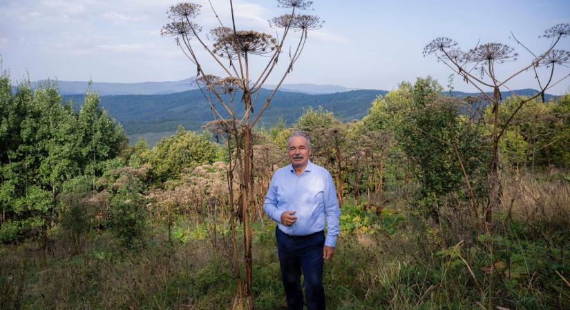 Nagy István: 390 ezer hektáron okozott kárt az aszály