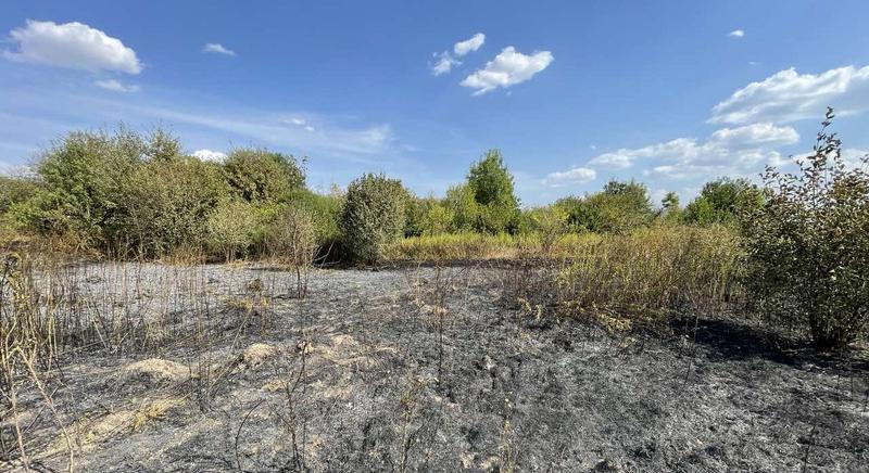 Begyulladt a szemétdomb, rohamosan terjedt a tűz