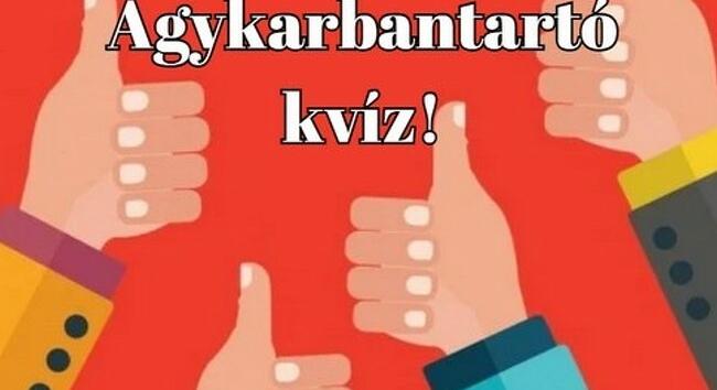 Ez a napi agykarbantartó kvíz 55 %-kal javítja a vérkeringésed és 95 %-kal jobb kedvet csinál