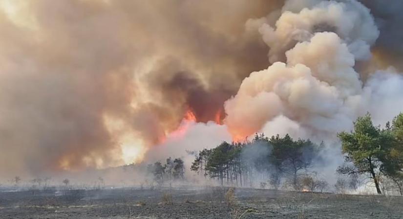 Videón, ahogy hatalmas lángokkal ég az erdő Vas megyében