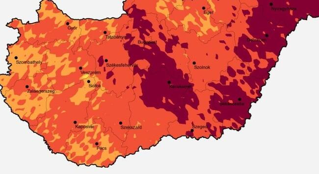 Parlagfű pollenterhelés: Rohamszerűen jelentkezhetnek az allergiások tünetei