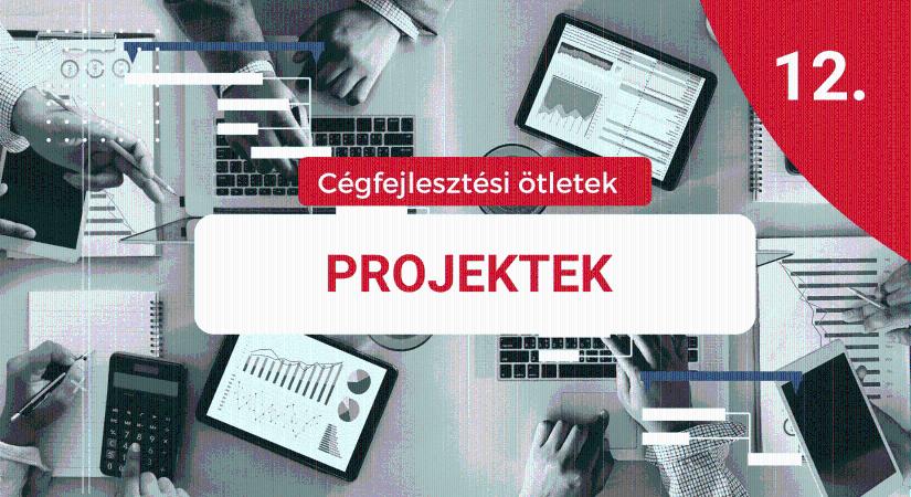 Cégfejlesztési ötlet 12.: Gondolkodj projektekben! Vezesd be őket a cégbe!