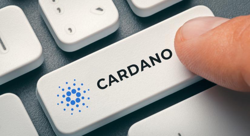 Cardano: Dexscreener és Metamask támogatás