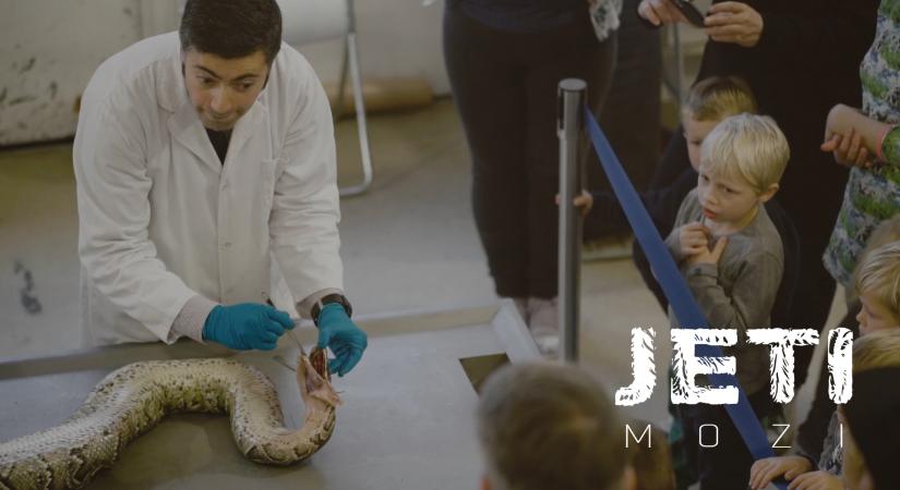 Állatboncolás gyerekek előtt a Jeti Moziban