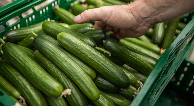 Kilőttek az árak Ukrajnában: már ennyibe kerül az uborka a piacokon