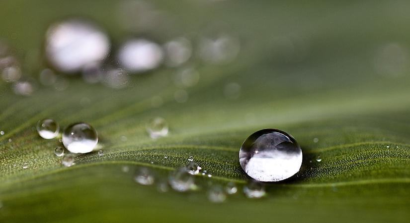 Szakértő: csapadékos ősz várható, és hideg lesz novemberben