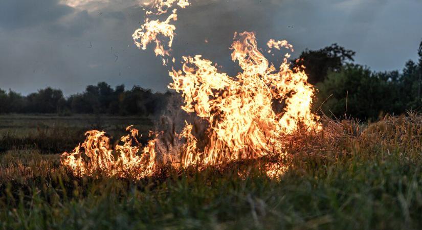 Nagy területen gyulladt meg az avar Bodaszőlőn