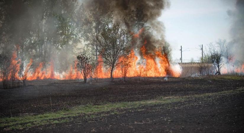 Nagy területen gyulladt ki az avar Bodaszőlőn