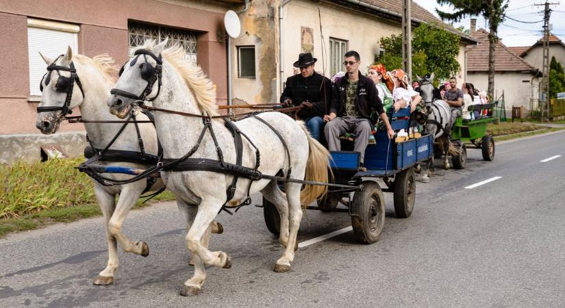 A falunapok mellett szüreti felvonulások is színesítik a hétvégét Nógrádban