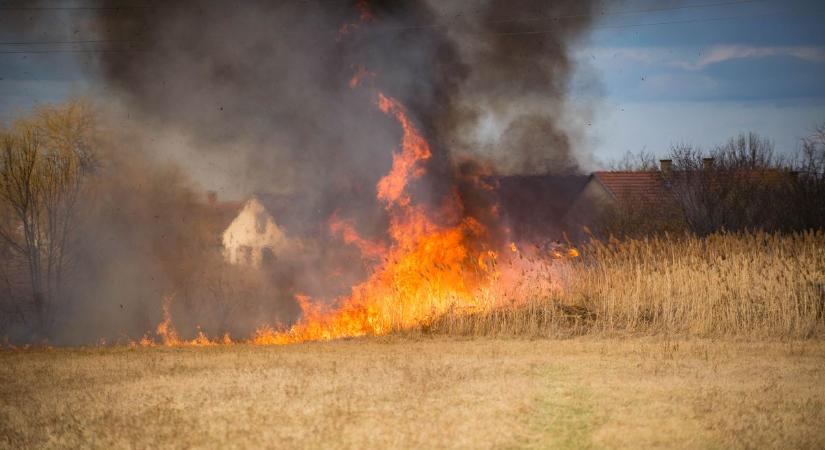 Kigyulladt az aljnövényzet Felgyő külterületén