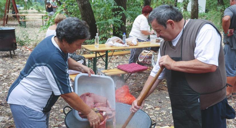 A Fokán éltették tovább a szegedi halfesztivál hagyományát – Galéria