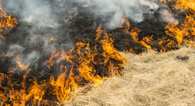 Tűz van a M5-ös mellett, nagy a torlódás az autópályán